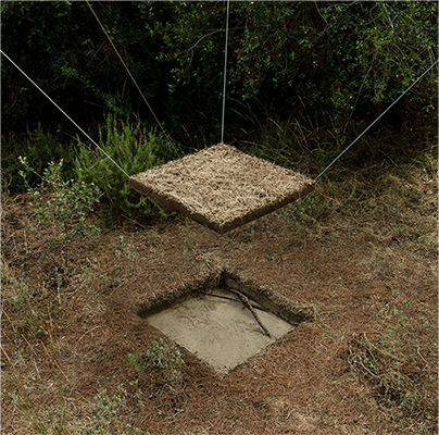 1 square meter clod of earth lifted from the ground in a natural oasis