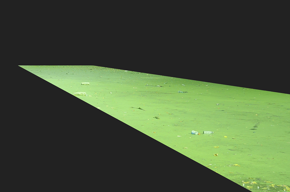still from video artwork of green Algae
                      bloom in the canals in Rotterdam