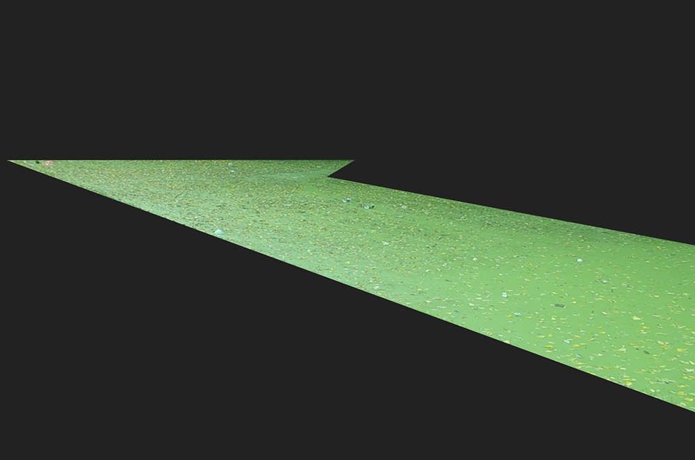 still from video artwork of green Algae
                      bloom in the canals in Rotterdam