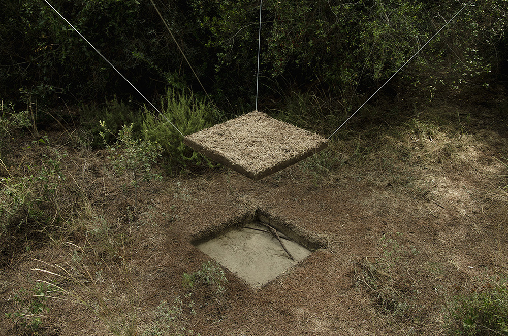 1 square meter clod of earth lifted from the ground in a natural oasis